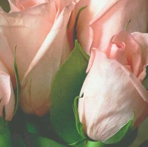 Meet your Posher, Cathy